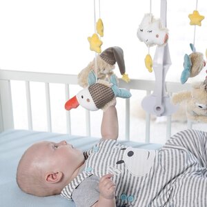 Fehn Musical mobile, Bruno - Taf Toys