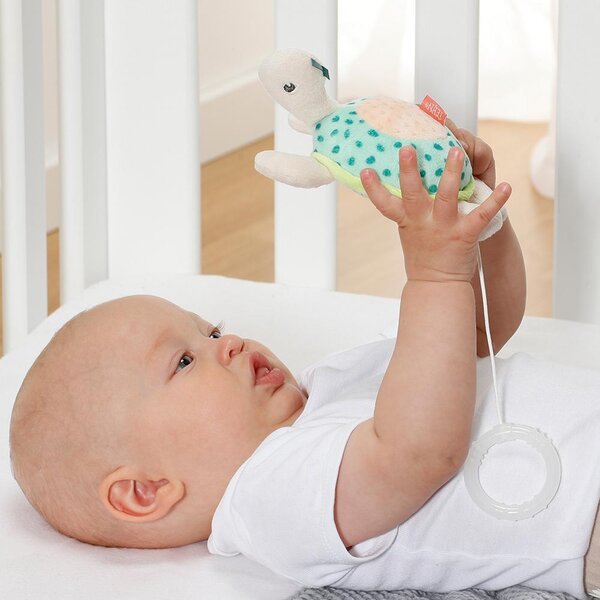 Fehn mini musical Turtle - Fehn