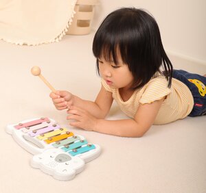 PolarB Xylophone Multicolor - PolarB