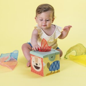 Taf Toys attīstošā rotaļlieta Magic box - Taf Toys