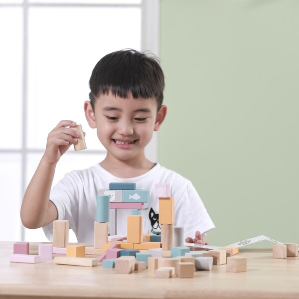 PolarB Wooden Blocks - 60pcs - PolarB