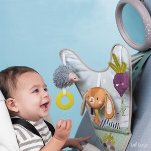 Taf Toys Urban Garden In car activity center - Taf Toys