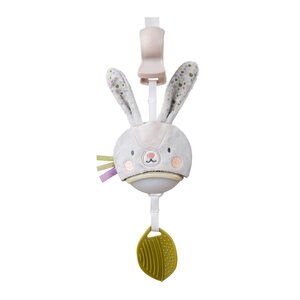 Taf Toys muzikālā ratu rotaļlieta Garden Bunny - Taf Toys