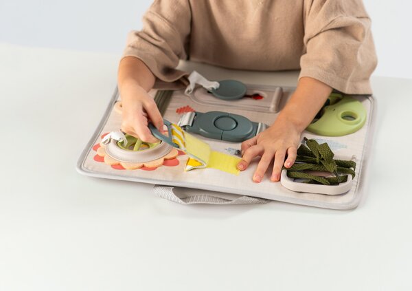 Taf Toys aktiivsuskeskus Snap and Learn  - Taf Toys