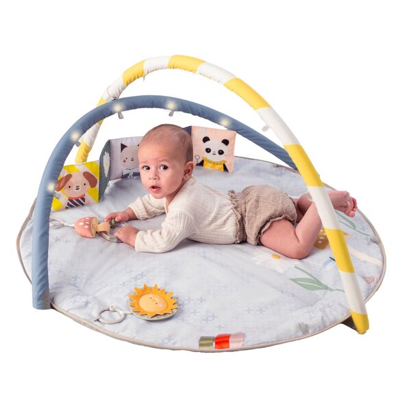 Taf Toys Melody Bloom Gym - Taf Toys