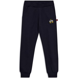 Legowear спортивные штаны Lwphilo 603 - Legowear