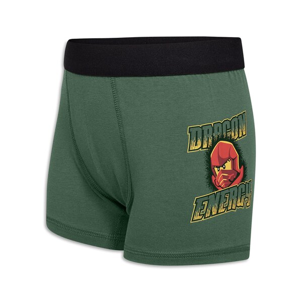 Legowear underwear Lwagan 107 - Legowear