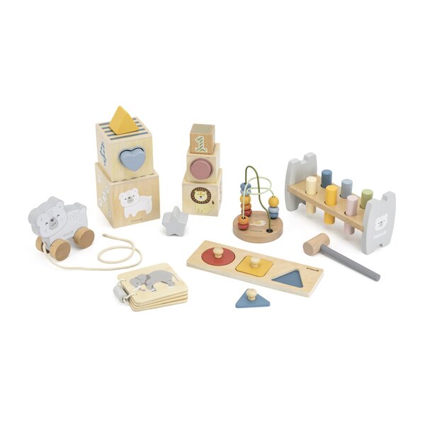 PolarB puidust motoorika mänguasjade komplekt 12-18 kuud - PolarB