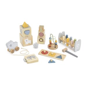 PolarB puidust motoorika mänguasjade komplekt 12-18 kuud - PolarB