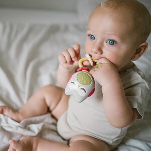 BabyOno rattle with sound Multicolor - BabyOno