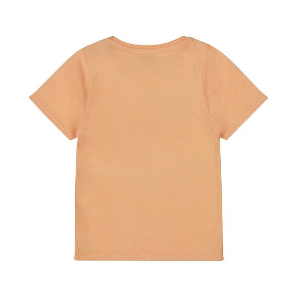 Dirkje T-shirt ss - Dirkje