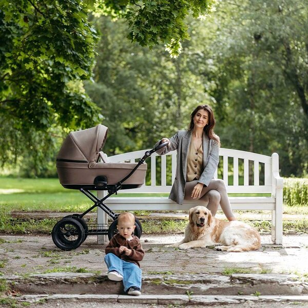 Tinynord Active комплект коляски Praline Beige, Onyx Brown - Tinynord