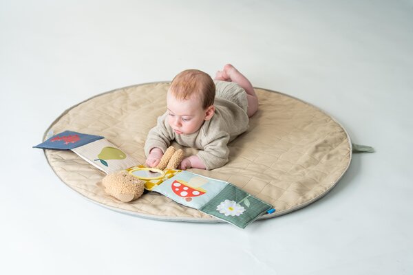 Taf Toys pehme raamat Snuggle Bear - Taf Toys