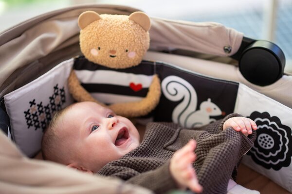 Taf Toys pehme raamat Snuggle Bear - Taf Toys