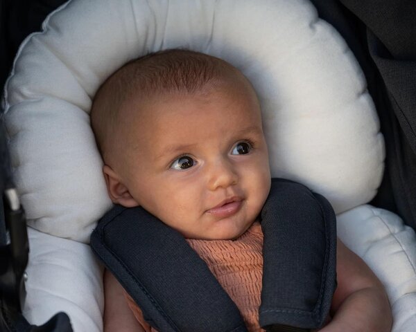 Bumbleride universaalne beebisisu jalutuskärusse - Bumbleride