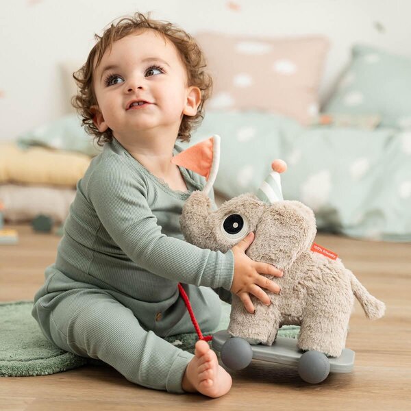 Done by Deer развивающая игрушка Pull along 2-in-1 Elphee Sand - Done by Deer