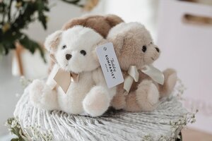 Teddykompaniet pehme mänguasi 12cm, Besties (1TK)  - Teddykompaniet